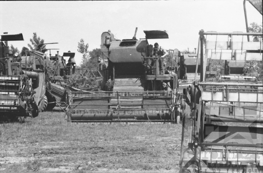 THM-BJ-02704 - Várdomb, South Hungary, 1967