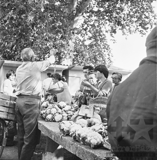 THM-BJ-03035 - Szekszárd, South Hungary, 1977