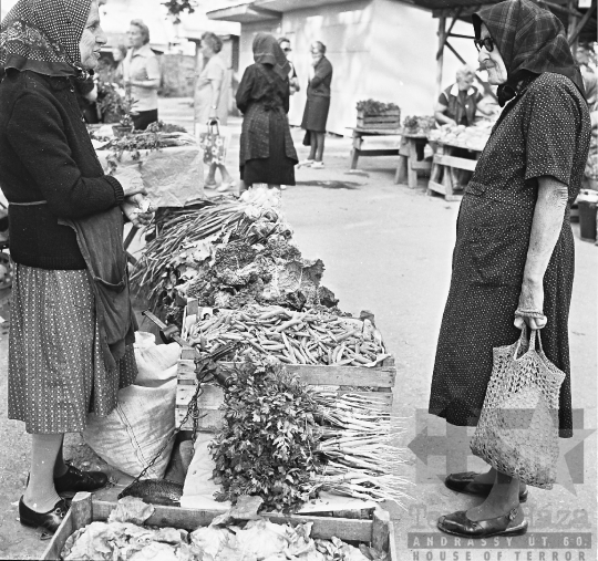 THM-BJ-03036 - Szekszárd, South Hungary, 1977