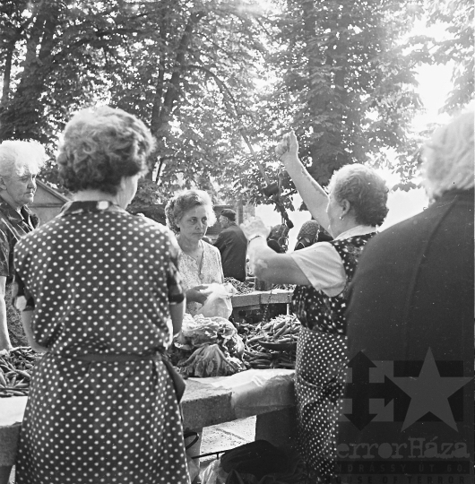 THM-BJ-03038 - Szekszárd, South Hungary, 1977