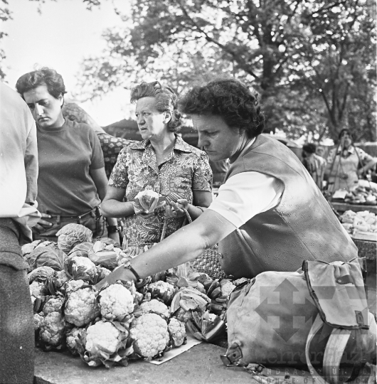 THM-BJ-03039 - Szekszárd, South Hungary, 1977