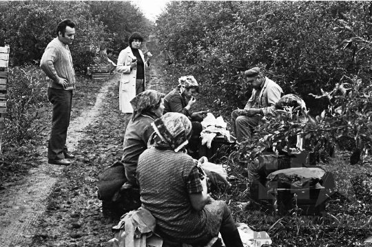 THM-BJ-03043 - Madocsa, South Hungary, 1978