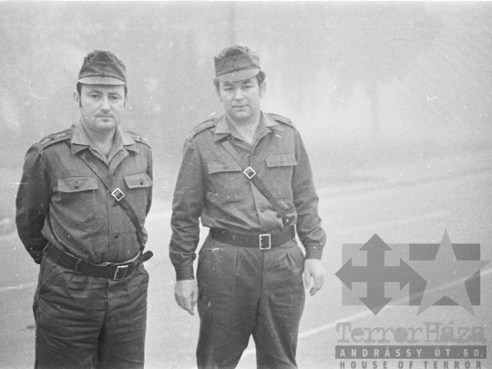 THM-BJ-03056 - Balatonaliga, South Hungary, 1979 