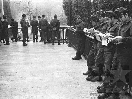 THM-BJ-03090 - Balatonaliga, South Hungary, 1979 