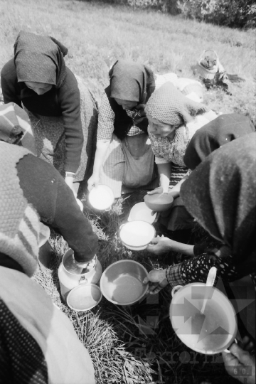 THM-BJ-03238 - Báta, South Hungary, 1985