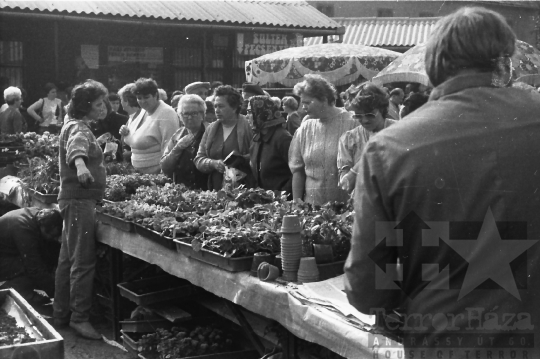 THM-BJ-03297 - Szekszárd, South Hungary, 1987