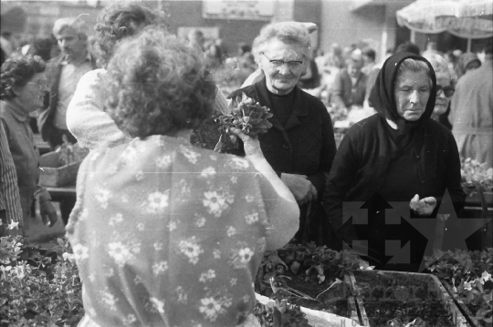 THM-BJ-03298 - Szekszárd, South Hungary, 1987