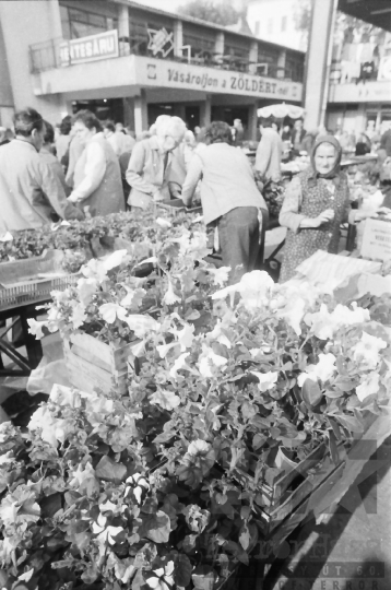 THM-BJ-03300 - Szekszárd, South Hungary, 1987