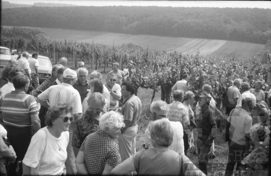 THM-BJ-03319 - Oberwar, Burgenland, Austria, 1990 