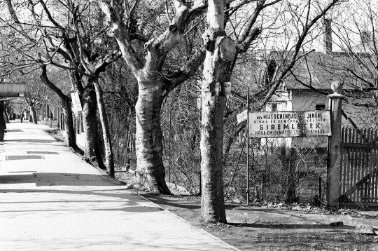 THM-BJ-03502 - Szekszárd, South Hungary, 1977