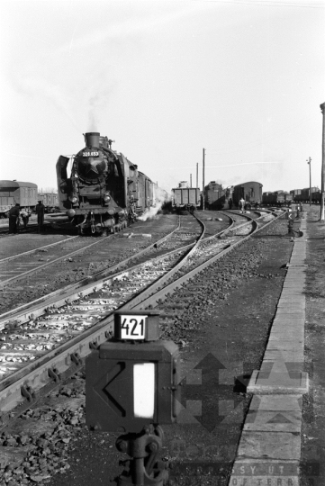 THM-BJ-03568 - Szekszárd, South Hungary, 1977