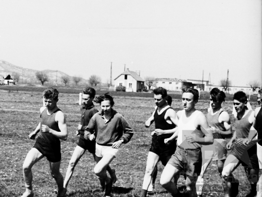 THM-BJ-03598 - Szekszárd, South Hungary, 1962