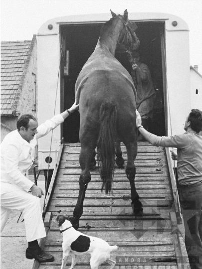 THM-BJ-03742 - Szekszárd, South Hungary, 1977 