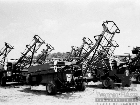 THM-BJ-03867 - Szekszárd, South Hungary, 1980 