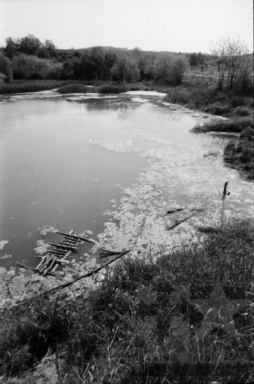 THM-BJ-03891 - Belecska, South Hungary, 1980