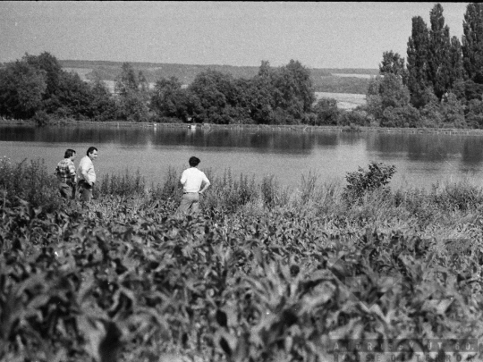 THM-BJ-04008 - Kocsola, South Hungary, 1980