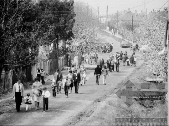 THM-BJ-04135 - Simontornya, South Hungary, 1980