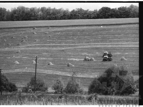 THM-BJ-04146 - Szálka, South Hungary, 1980