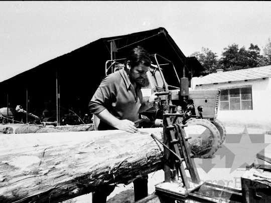 THM-BJ-04191 - Dunakömlőd, South Hungary, 1981