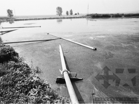 THM-BJ-04237 - Paks, South Hungary, 1981 