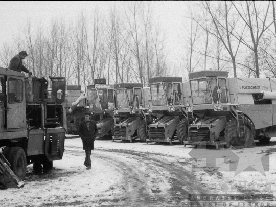 THM-BJ-04260 - Döbrököz, South Hungary, 1982 