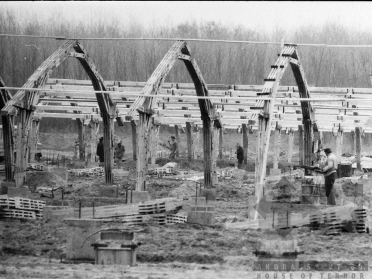 THM-BJ-04268 - Németkér-Hard, South Hungary, 1982