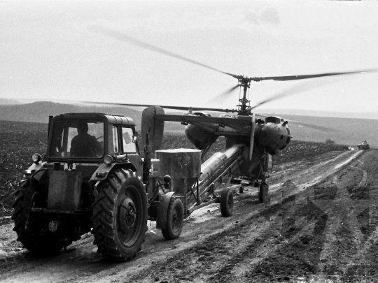 THM-BJ-04277 - Tolna county, South Hungary, Hungary, 1982 