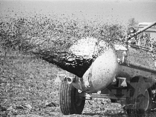 THM-BJ-04283 - Tolna county, South Hungary, Hungary, 1982