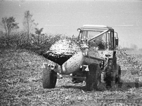 THM-BJ-04284 - Tolna county, South Hungary, Hungary, 1982