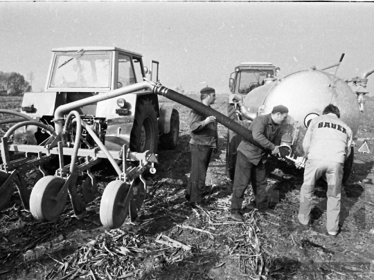 THM-BJ-04289 - Tolna county, South Hungary, Hungary, 1982