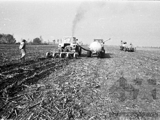 THM-BJ-04290 - Tolna county, South Hungary, Hungary, 1982