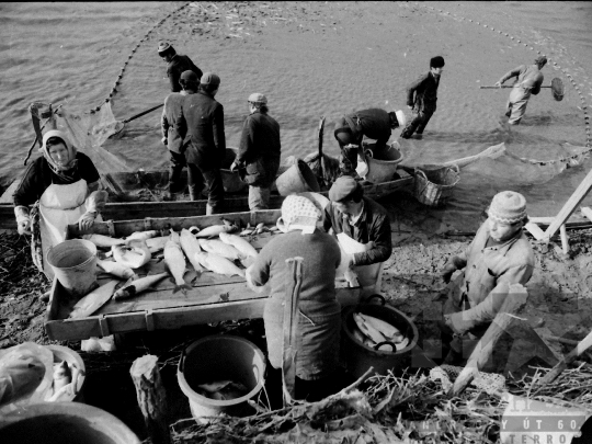 THM-BJ-04354 - Tamási, South Hungary, 1982