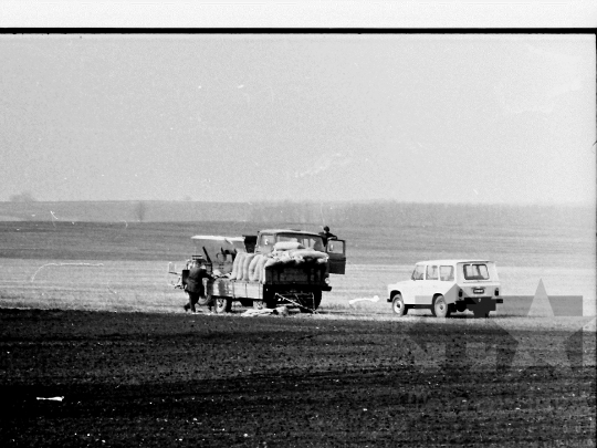 THM-BJ-04379 - Bátaszék, South Hungary, 1982