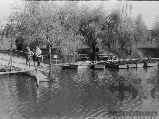 THM-BJ-04392 - Dombóvár, South Hungary, 1983