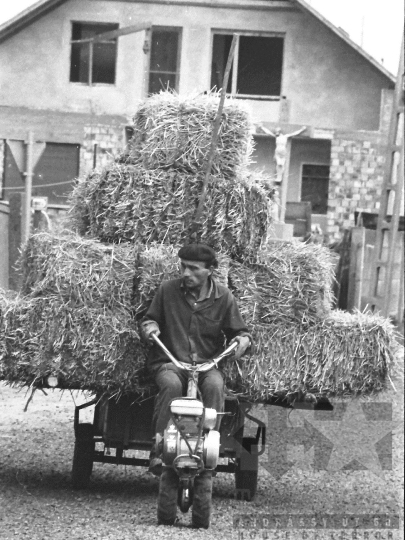 THM-BJ-04435 - Báta, South Hungary, 1985