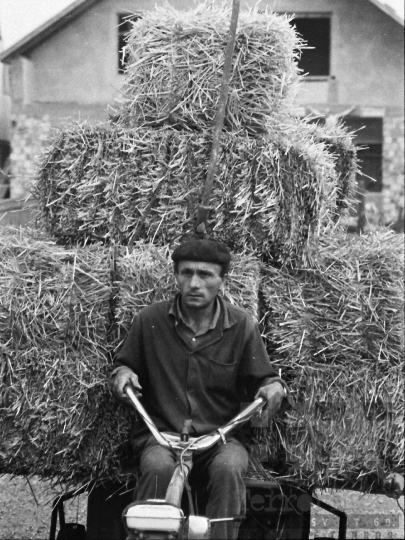 THM-BJ-04436 - Báta, South Hungary, 1985