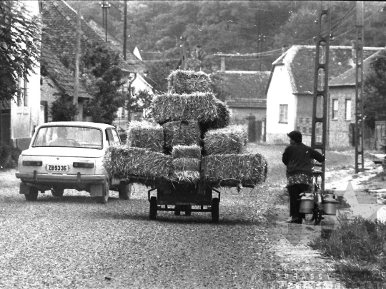 THM-BJ-04438 - Báta, South Hungary, 1985