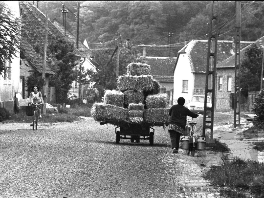 THM-BJ-04439 - Báta, South Hungary, 1985