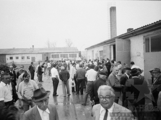 THM-BJ-04478 - Felsőnána, South Hungary, 1985