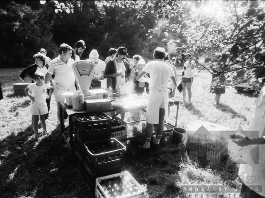 THM-BJ-04584a - Szekszárd, South Hungary, 1985