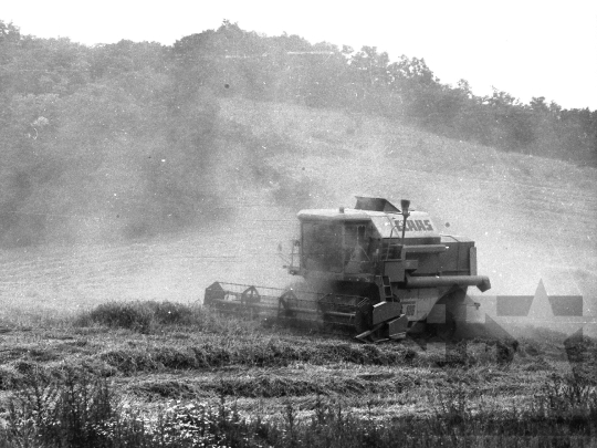 THM-BJ-04653 - Alsónána, South Hungary, 1988 