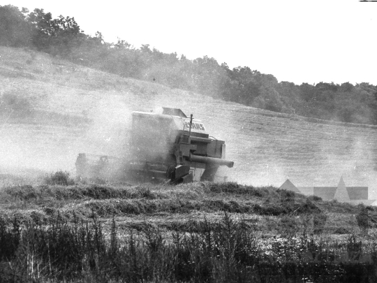 THM-BJ-04654 - Alsónána, South Hungary, 1988 