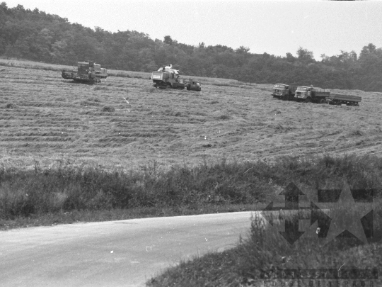 THM-BJ-04656 - Alsónána, South Hungary, 1988 