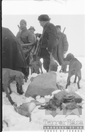 THM-BJ-04709 - Tolna-Mözs, South Hungary, 1962