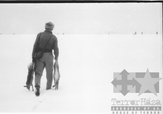 THM-BJ-04710 - Tolna-Mözs, South Hungary, 1962