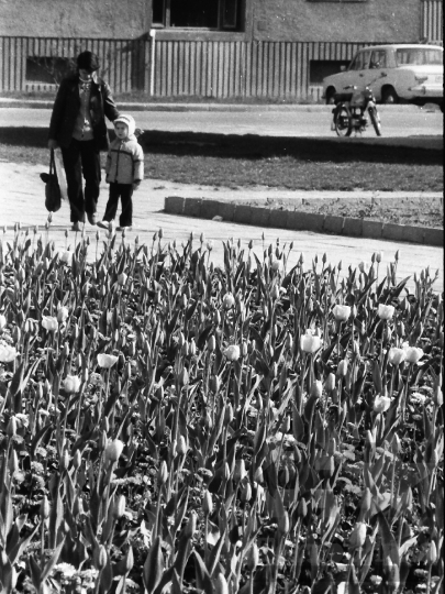 THM-BJ-04794 - Szekszárd, South Hungary, 1970