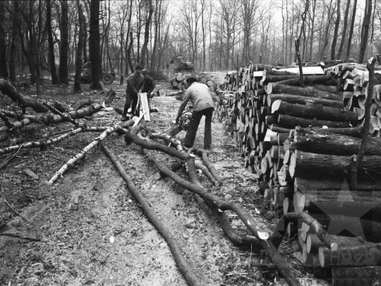 THM-BJ-04878 - Pörböly, South Hungary, 1976