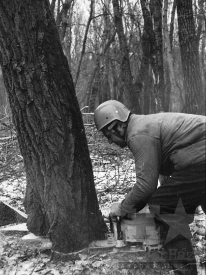 THM-BJ-04885 - Pörböly, South Hungary, 1976