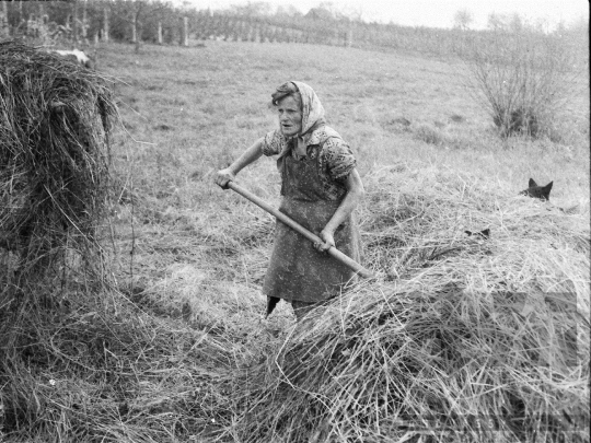 THM-BJ-04907 - Kajdacs, South Hungary, 1976 