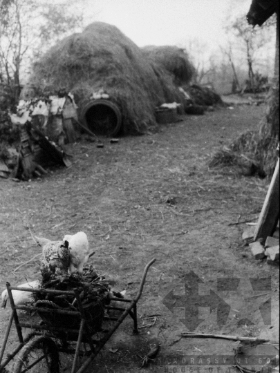 THM-BJ-04925 - Kajdacs, South Hungary, 1976 